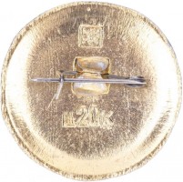 Нагрудный знак Колывань 