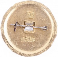 Нагрудный знак Бугульма 