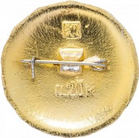 Нагрудный знак Стерлитамак 