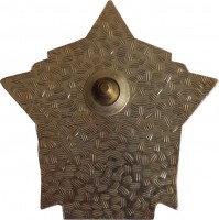 Badge Boardguard, bronze 