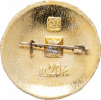 Нагрудный знак Данилов 
