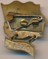 Badge  