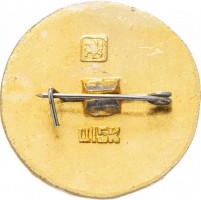 Нагрудный знак Москва 