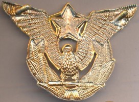 Badge Air force officer cap badge 