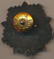 Badge Cap badge 