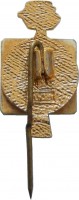 Badge  