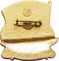 Нагрудный знак Малый ракетный корабль 