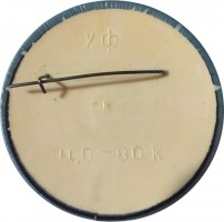 Нагрудный знак В. Петров 