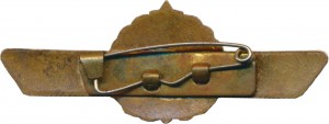 Badge Radio operator 3rd class 