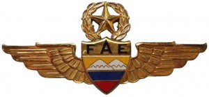 Нагрудный знак Мастер пилот 