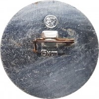Badge  
