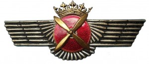Нагрудный знак Пилот 