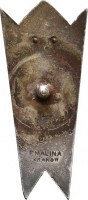 Badge 2nd aviation regiment 
