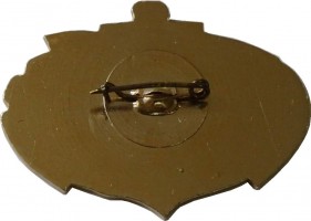 Нагрудный знак Сдержанный, 20 лет 