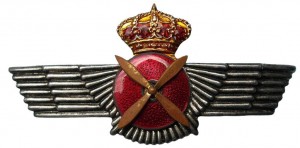 Badge Pilot 