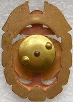 Нагрудный знак АПЛ К-403 Казань Аксон - Казань 30 