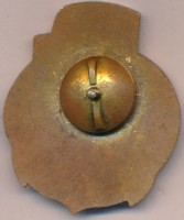 Нагрудный знак АПЛ К-64 Дельфин III 