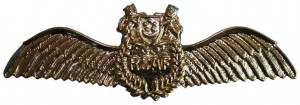 Нагрудный знак Пилот 