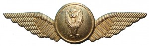 Нагрудный знак Пилот  