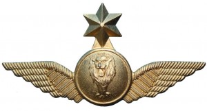 Нагрудный знак  Старший пилот  