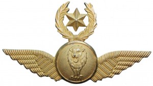 Нагрудный знак Мастер пилот  