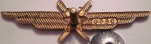 Нагрудный знак Летчик без класса  