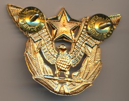Badge Air force officier cap badge 