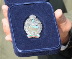 Badge Pilot 3rd class 
