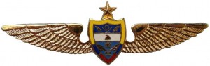 Нагрудный знак Пилот 