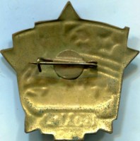 Badge  