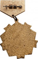 Нагрудный знак Ветеран 1-ой воздушной армии, 1941-1945 