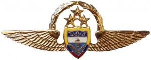 Badge Pilot 