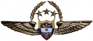 Badge Pilot 