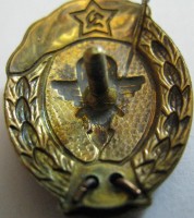 Badge Glider normal military school 