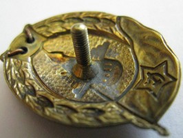 Badge Glider normal military school 