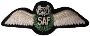 Badge Pilot 
