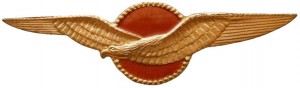 Badge Pilot 