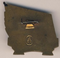Нагрудный знак Жгучий 1960-1980 
