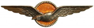 Нагрудный знак Пилот 
