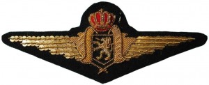 Badge Pilot 