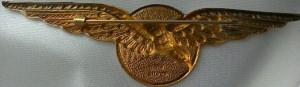 Badge Pilot 