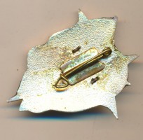 Нагрудный знак Эскадренныйо миноносец 