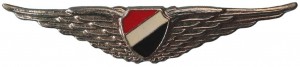 Нагрудный знак Пилот 
