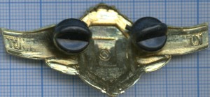 Badge  