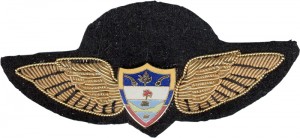 Нагрудный знак Пилот  
