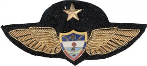 Badge Pilot 