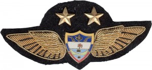 Нагрудный знак Пилот  
