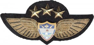 Badge Pilot 