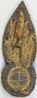 Badge 2nd Dragoons 