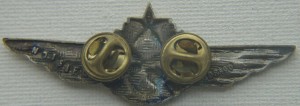 Нагрудный знак Пилот 